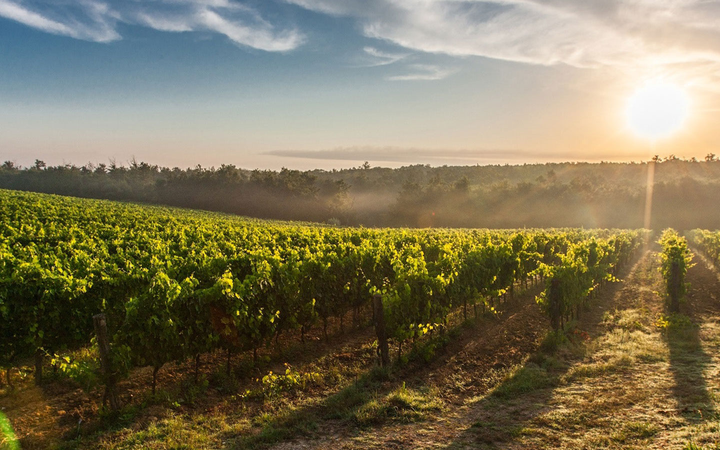 epicerie-fine-Nice-06