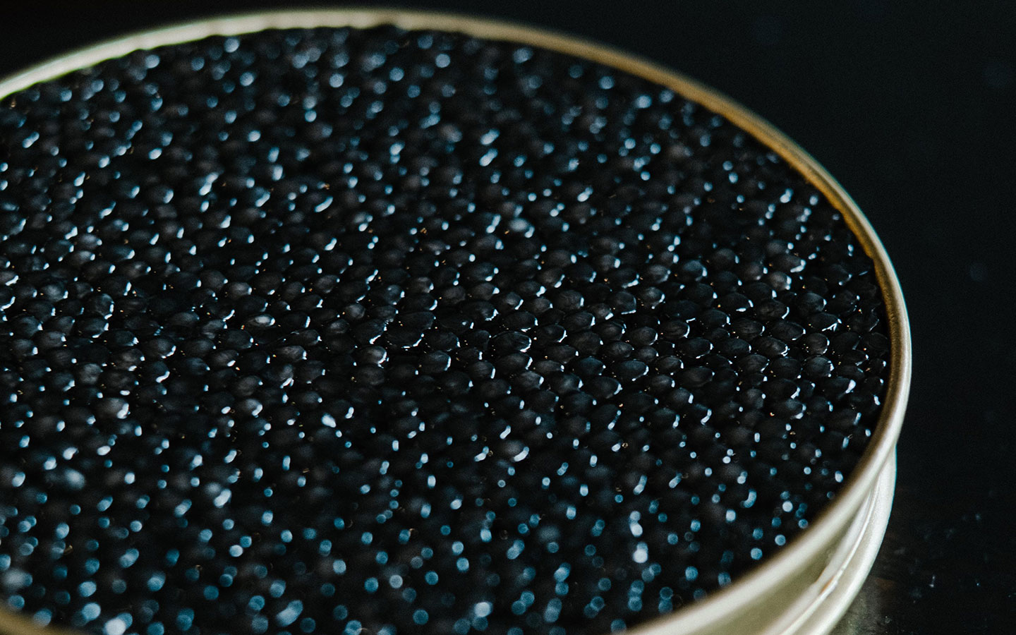 vente-vin-wisky-rare-