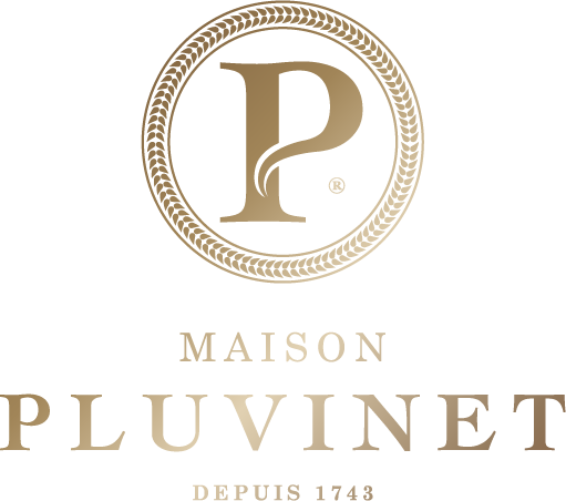 LOGO-SITE