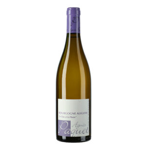 Aligote Agnes Paquet